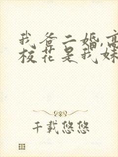 我爸二婚,高冷校花是我妹一口气看完