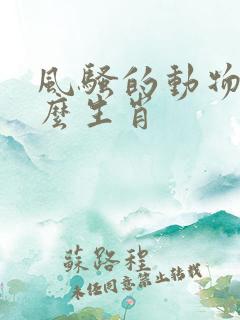 风骚的动物指什么生肖