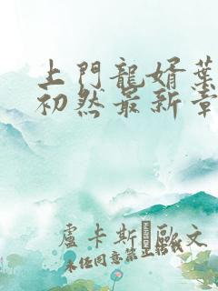 上门龙婿叶辰萧初然最新章