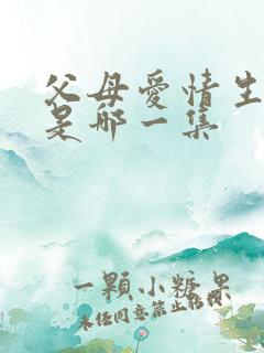 父母爱情生孩子是哪一集