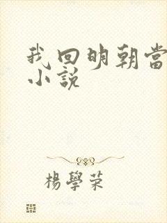 我回明朝当王爷小说
