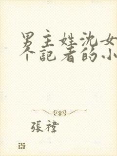 男主姓沈女主是个记者的小说