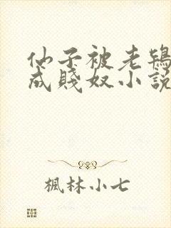 仙子被老鸨调教成贱奴小说