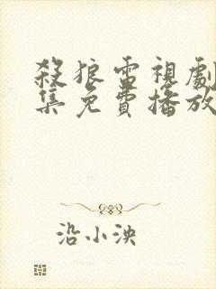 杀狼电视剧30集免费播放