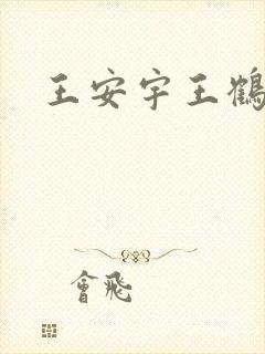 王安宇王鹤棣
