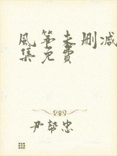 风筝未删减版全集免费