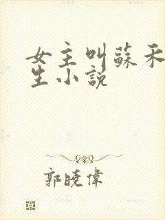 女主叫苏禾的重生小说