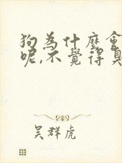 狗为什么会吃屎呢,不觉得臭吗