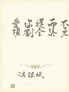 爱你迟而不晚电视剧全集免费播放