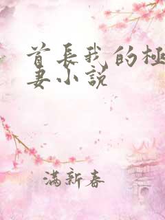 首长我的极品娇妻小说