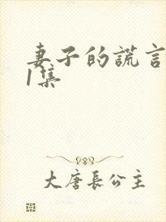 妻子的谎言第01集