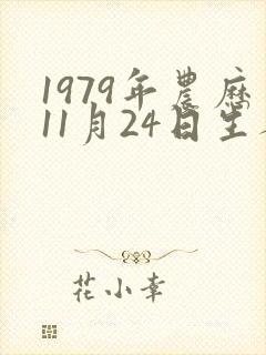 1979年农历11月24日生人八字