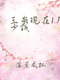 玉米现在1斤多少钱