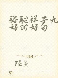 骆驼祥子九章的好词好句