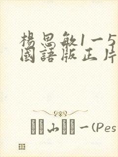 杨思敏1一5集国语版正片免费观看