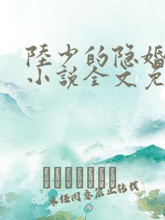 陆少的隐婚罪妻小说全文免费阅读