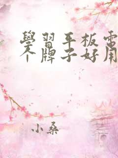 学习平板电脑哪个牌子好用又实惠
