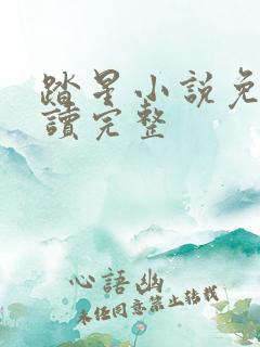踏星小说免费阅读完整