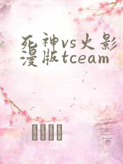死神vs火影动漫版tceam