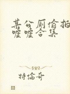 某公厕偷拍女厕嘘嘘合集