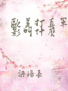 欧美打真军的电影叫什么