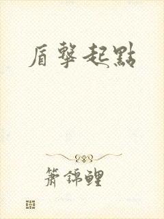 盾击起点