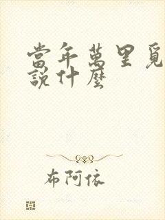 当年万里觅封侯说什么