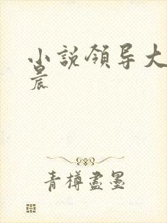小说领导大秘楚晨