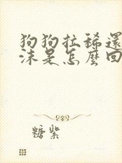 狗狗拉稀还吐白沫是怎么回事