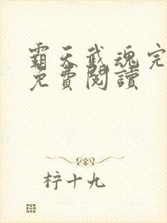 霸天武魂完整版免费阅读