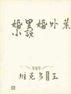 婚里婚外叶晓井小说