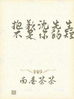 抱歉沈先生孩子不是你的短剧在线观看