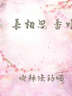 长相思 番外