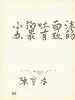 小狗吐白沫怎么办最有效的方法