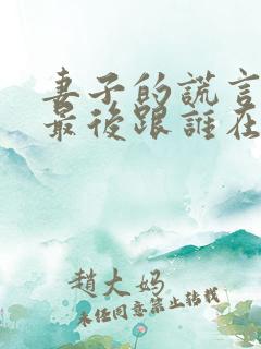 妻子的谎言一珊最后跟谁在一起了