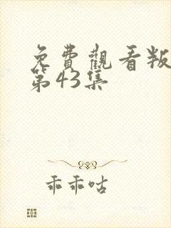 免费观看叛逆者第43集
