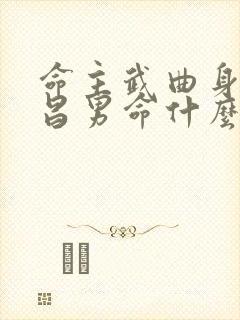 命主武曲身主文昌男命什么意思