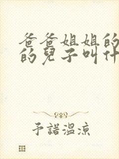 爸爸姐姐的儿子的儿子叫什么