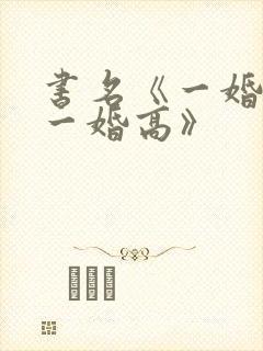 书名《一婚还比一婚高》