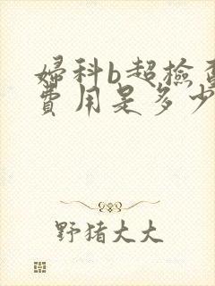 妇科b超检查的费用是多少