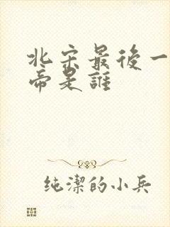 北宋最后一位皇帝是谁
