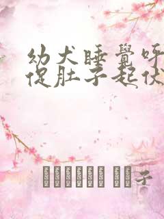 幼犬睡觉呼吸急促肚子起伏快 幼犬睡觉呼吸急促肚子起伏快