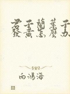 君子兰叶子顶部发黄怎么办