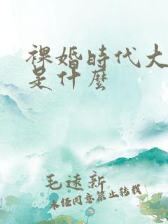 裸婚时代大结局是什么
