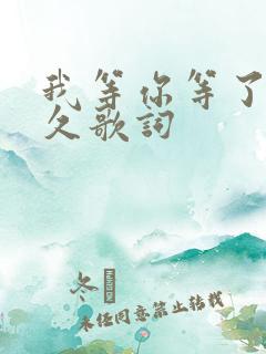 我等你等了那么久歌词