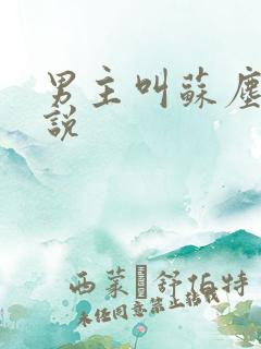 男主叫苏尘的小说