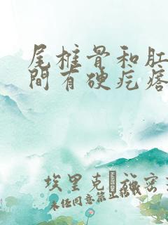 尾椎骨和肛门之间有硬疙瘩