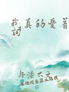我真的爱着你歌词