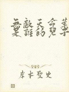 无敌天命叶天命是谁的儿子