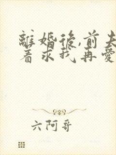 离婚后,前夫哭着求我再爱他一次小说